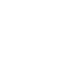 Desarrollo web icono
